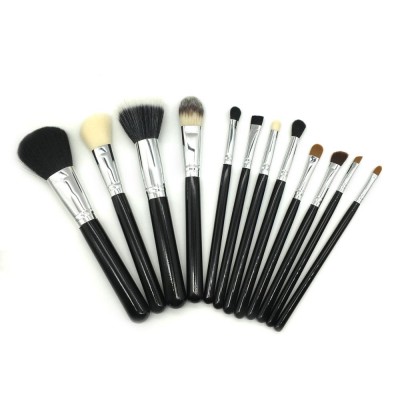 Foundation Eyelash Professional Eyeliner Belt Crown 12 Piece Makeup Brush Set